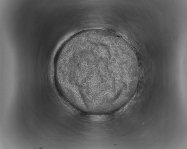 X0000111840342200908201221