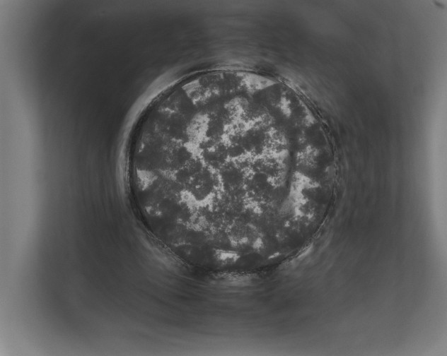 X0000111840343200908201221