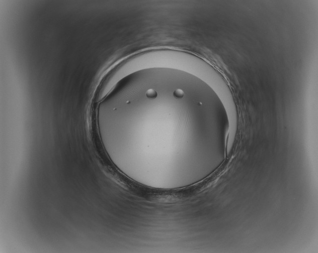 X0000111840344200908201221