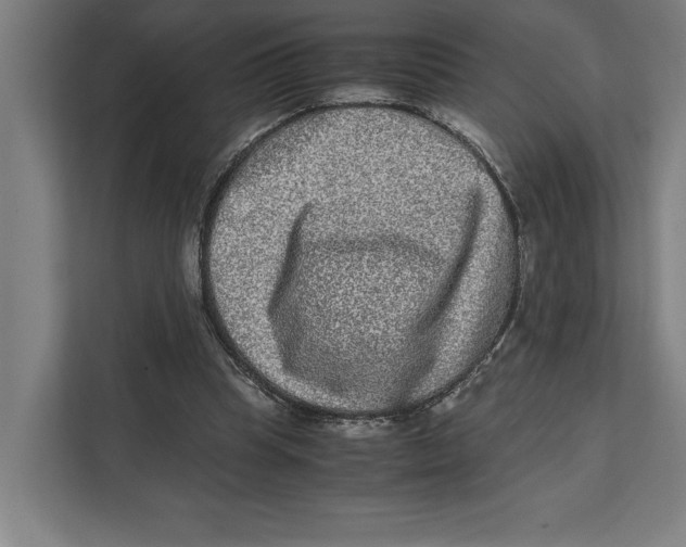 X0000111840345200908201221