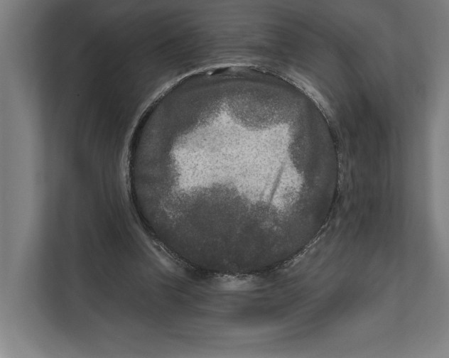 X0000111840346200908201221