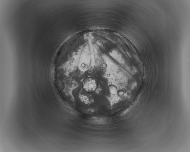 X0000111840351200908201221