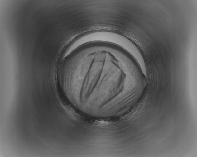 X0000111840352200908201221