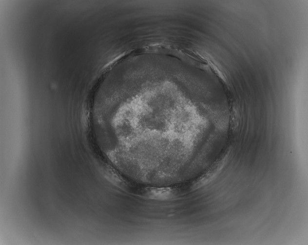 X0000111840355200908201221