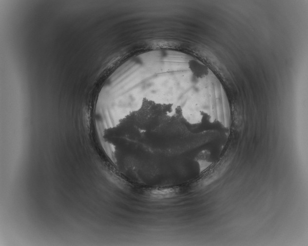 X0000111840357200908201221