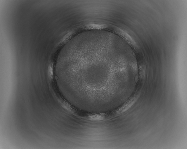 X0000111840358200908201221