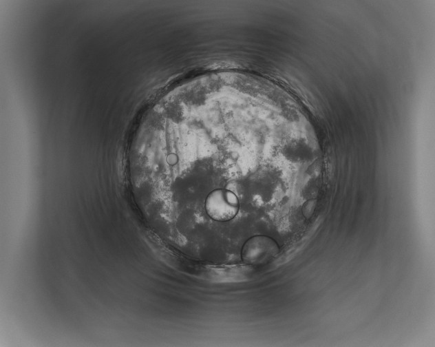 X0000111840359200908201221