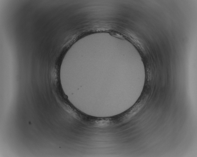 X0000111840362200908201221