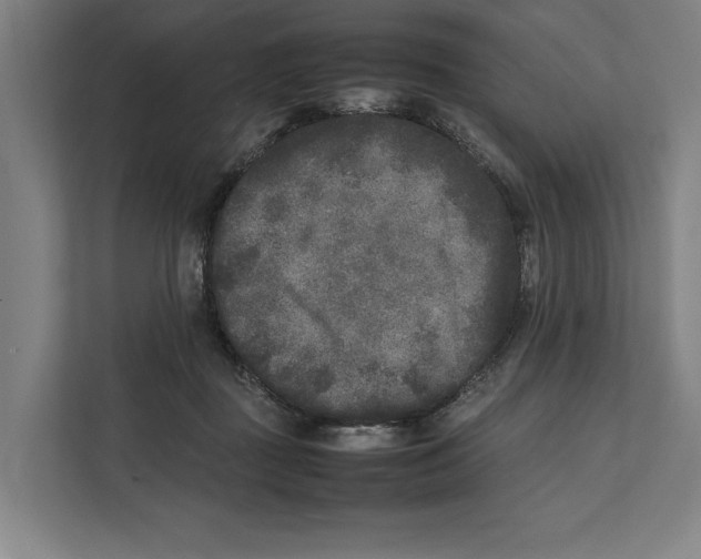 X0000111840363200908201221