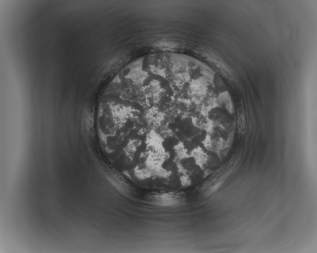 X0000111840365200908201222