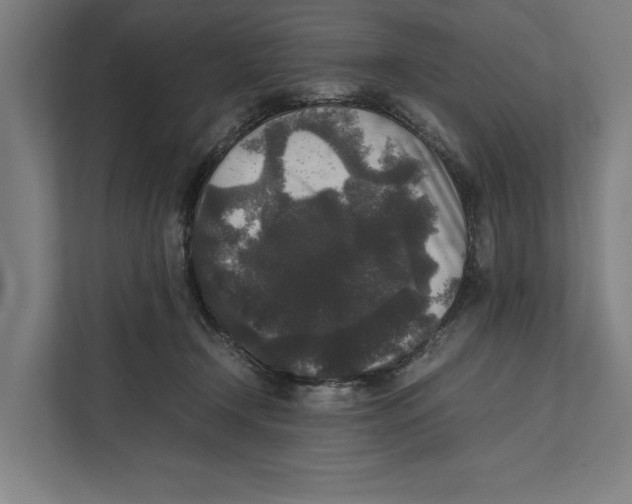 X0000111840366200908201222