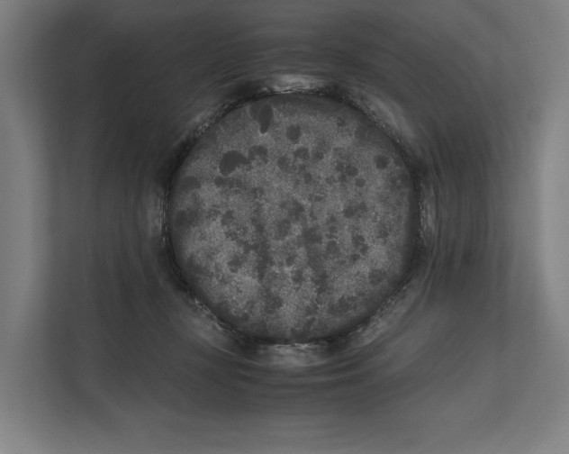 X0000111840367200908201222