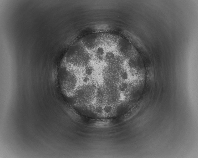 X0000111840369200908201222