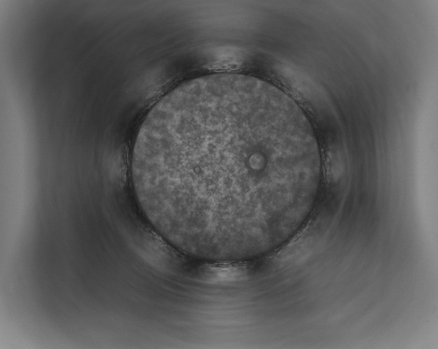 X0000111840370200908201222