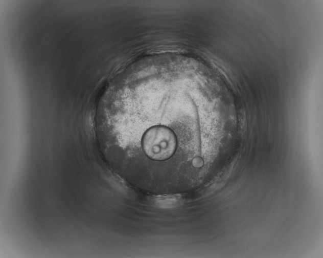 X0000111840373200908201222