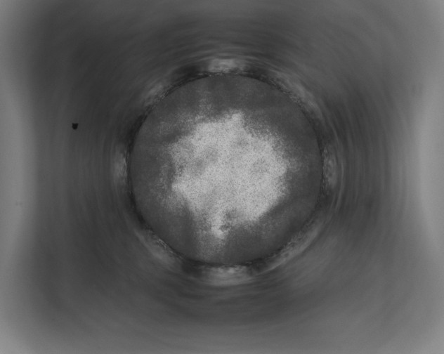 X0000111840375200908201222