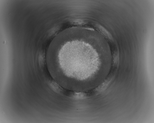 X0000111840376200908201222