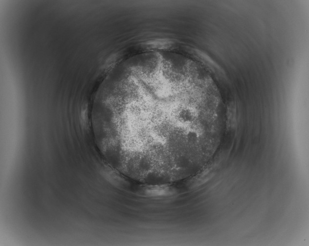 X0000111840377200908201222