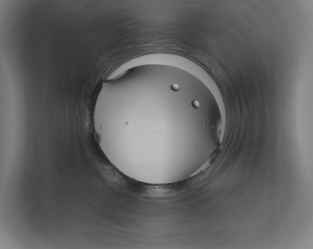 X0000111840380200908201222