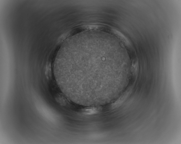 X0000111840381200908201222