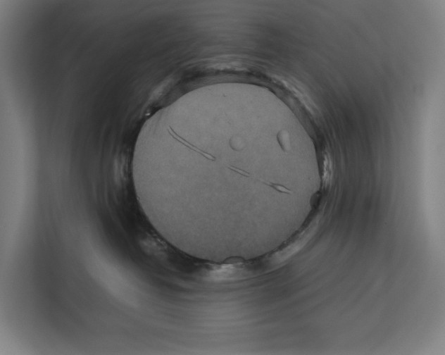 X0000111840382200908201222