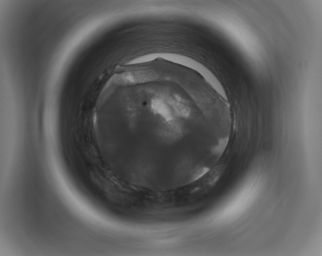 X0000111840383200908201222