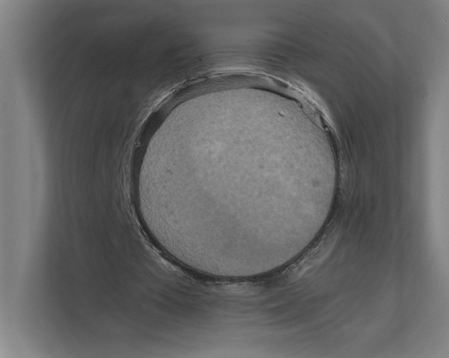 X0000111840385200908201221