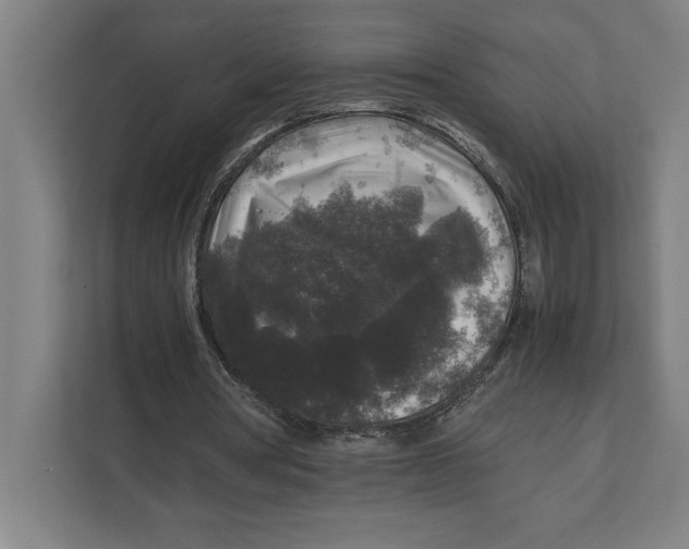 X0000111840386200908201221