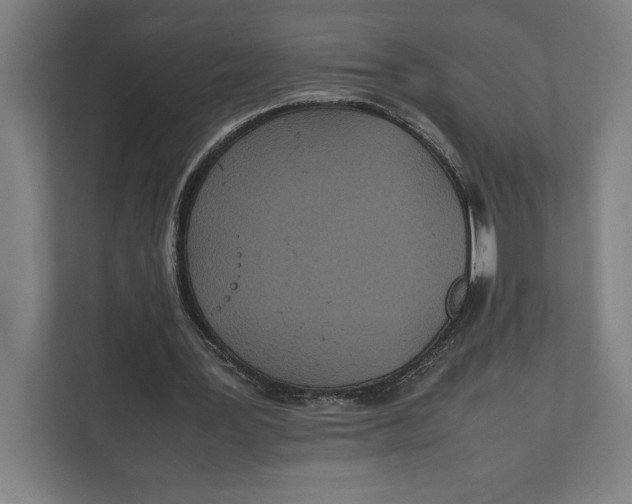 X0000111840387200908201221