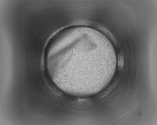 X0000111840388200908201221