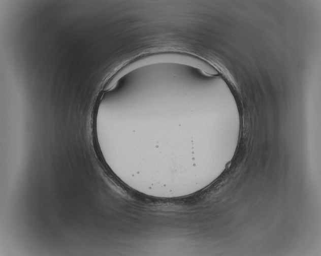 X0000111840389200908201221