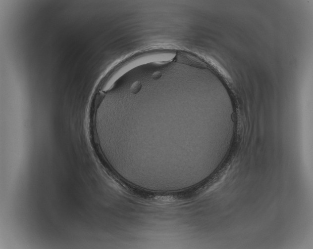 X0000111840391200908201221