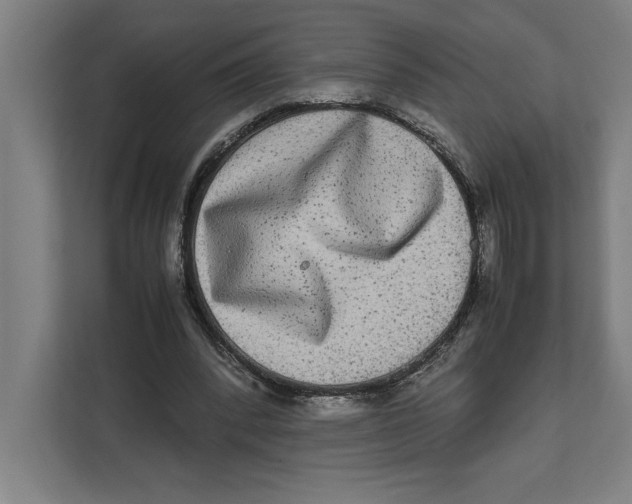 X0000111840392200908201221