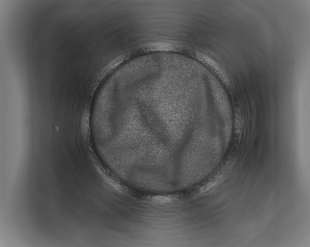 X0000111840394200908201221