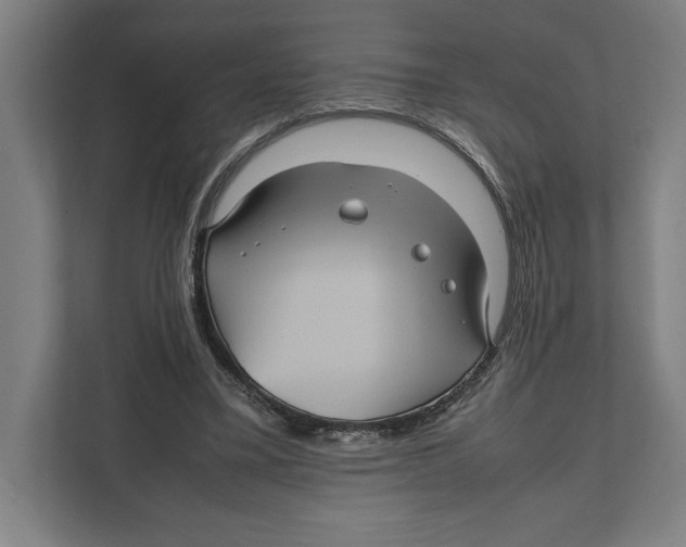 X0000111840395200908201221