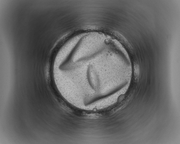 X0000111840396200908201221