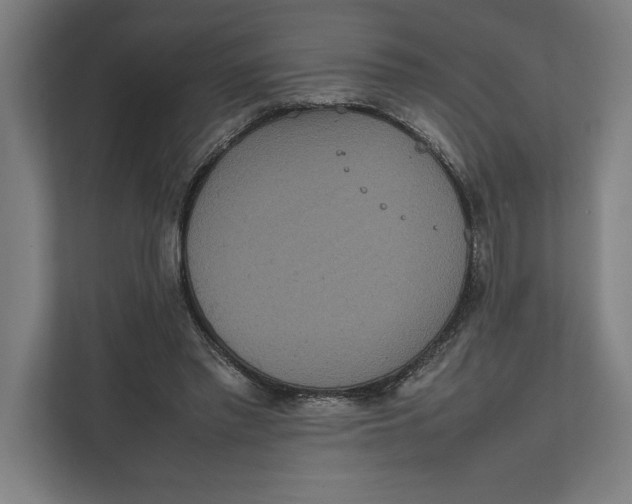 X0000111840397200908201221