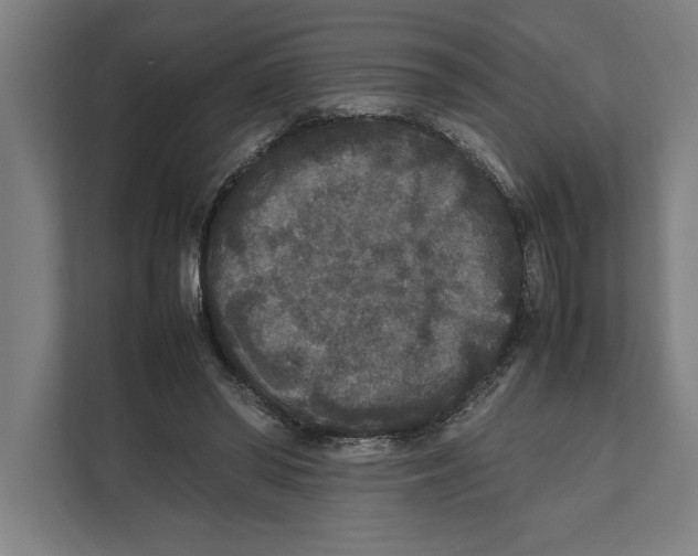 X0000111840398200908201221