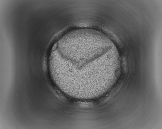 X0000111840400200908201221