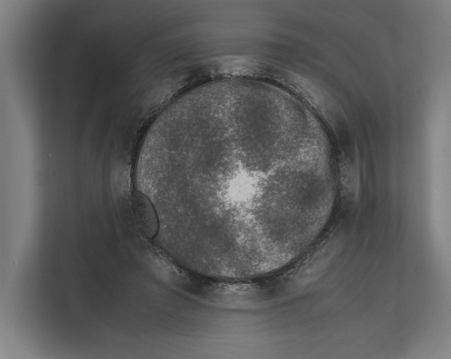 X0000111840401200908201221