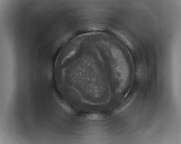 X0000111840402200908201221