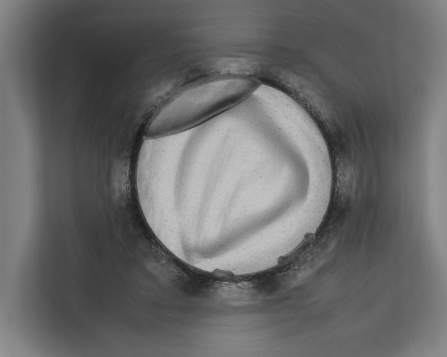 X0000111840403200908201221