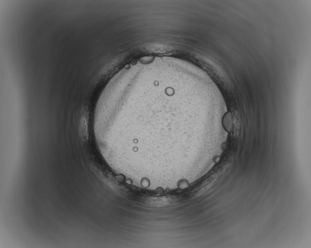 X0000111840404200908201221