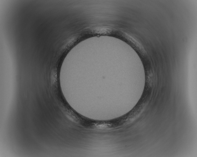 X0000111840407200908201221