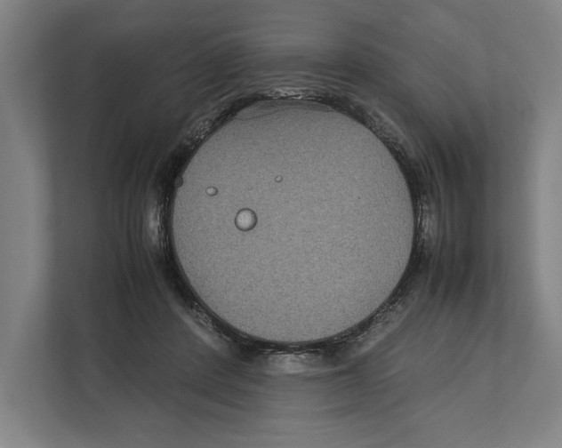 X0000111840408200908201221