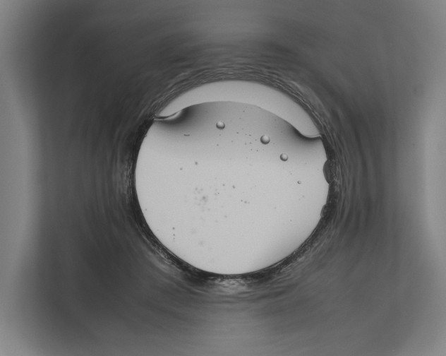 X0000111840409200908201221