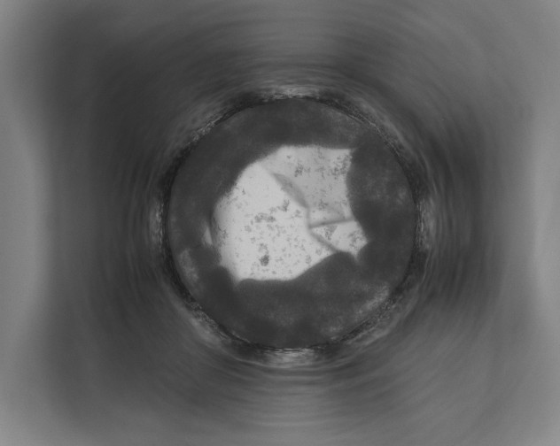 X0000111840410200908201221