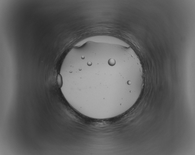 X0000111840411200908201221