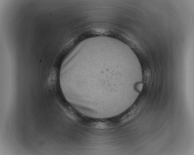 X0000111840412200908201221