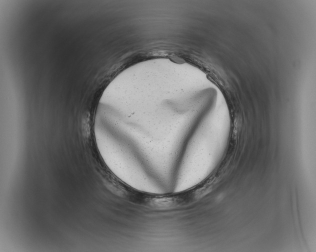 X0000111840413200908201221